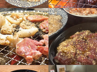 Hormone course (food only)