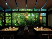 【スタンダードプラン】ディナーメニュー厳選の料理5品×フリードリンク2h