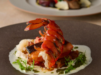 【Lunch】“ESSENCE” a five-course meal