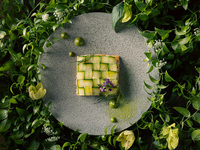 LOQUAT Seasonal Dinner Course（Lunch Time)