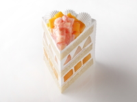エクストラスーパーダブルショートケーキ
