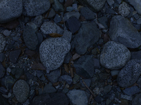 【１泊１食】Tasting Course＋Non alcohol Pairing  -KONOMA