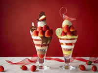 【12/28～2/28】Strings Parfait Duo 