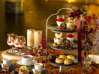 ▼9月16日(火)～11月16日(日)