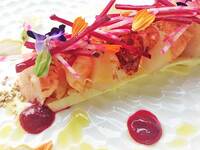 MENU DINER＋アミューズ＋前菜2皿＋Wメイン＋充実のデザート 