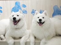 <<Summer Vacation Period (Weekdays)>> Regular Ticket (50 minutes)