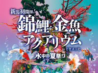 【錦鯉・金魚アクアリウム入場券・ドリンク券付】飲茶ブッフェプラン(平日)