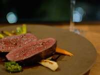 北海道　ELEZO　蝦夷鹿