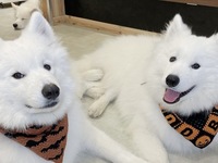 ≪夏休み期間 (お盆)≫通常チケット（50分）