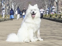 <<Summer Vacation Period>> Regular ticket (50 minutes)