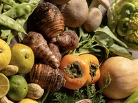 Vegan Dinner Course 【10% Time Sale】