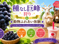 ★種なし巨峰40分食べ放題+動物ふれあい体験～いちごスムージーとクレープ付き～【土日祝】