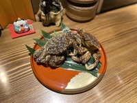 【会員様】ペアリング付旬の食材とのどぐろコース3/1-4/30