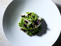 ◆Special Offer Dinner for Early Booking 10%OFF◆Contento