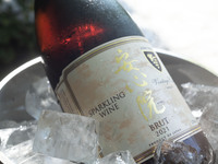 "Ajimu Winery Premium Lunch with Sparkling Rosé — Italian Semi-Buffet with Choice of Main Dish"