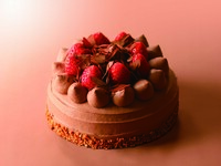 生チョコレートケーキ　15センチ