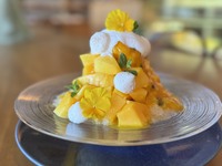 【かき氷】完熟マンゴー