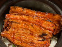 Ginza Charcoal Grilled Eel and Rice Cooked in a Pot, Kiwami