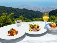 スペシャルランチコース