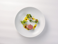 <Fontaine> Chef's recommended lunch menu!