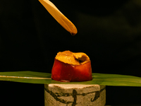 OMAKASE 12000