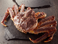Live Red King Crab (Taraba Crab)