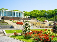 須磨離宮「王侯貴族のバラ園」ガイドツアー＋スペシャルローズランチ　