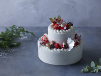 【Limited to 20】Two-Tier Santa Shortcake