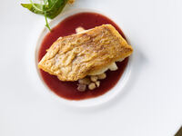 Lunch“C”COURSE