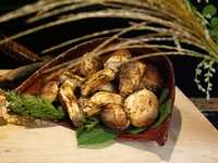 Fully private room 【Special “Autumn Taste: Matsutake Mushrooms” Course】