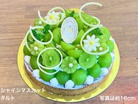 【8月15日受取分よりご予約可能】🟢🍇シャインマスカットタルト【直径約20cm】約8~10名様前後用【税別8,871円】