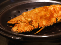 績　ーTUMUGIー　2025　　【旧プレミアムコース】