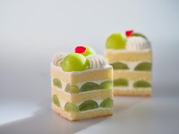Shine Muscat shortcake