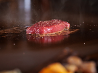 よさこいランチ