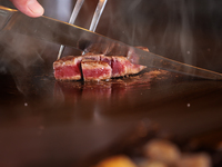 Shiosai (Sound of the Waves)