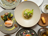 【6-Course Dinner】