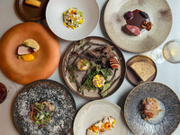 【10-Course Dinner】