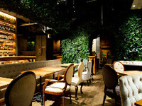 席のみ予約(単品ケーキ希望の方)※20名以上パーティはお電話にて