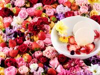 女子会ランチにお勧め　選べる季節のデザート