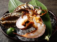 【 松 -Matsu- 】 Luxurious Splendor Course