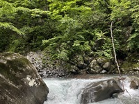 初夏のコース　ノンアルコールペアリングのコース