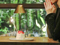 [LUNCH]Anniversary course  ¥6,500