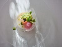 菲奧雷菜單 [僅限工作日]