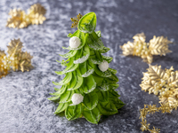 【事前決済】 クリスマスケーキ 「エメラルド フォレスト」