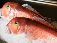 旬の味覚とうかい特選牛コース【￥18,700】9/25～