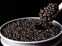 CAVIAR STURIA FRANCE 15g