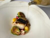 【平日ランチ限定】乾杯酒付き　お祝いプラン