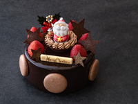 ショコラ　（約15㎝）