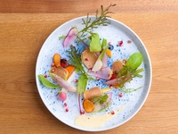 Special Dinner course　特別厳選ディナーコース