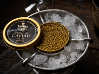 キャビア　オシェトラ